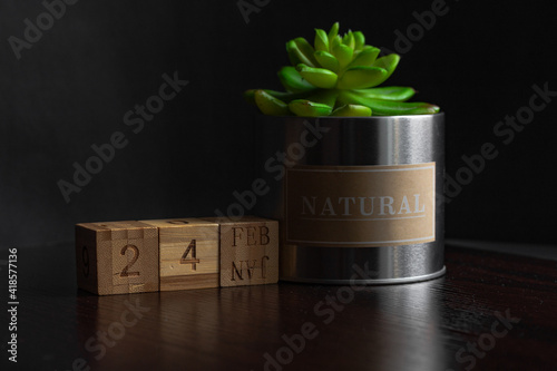 Feb 24st. Image of Feb 24 wooden cube calendar and an artificial plant on a brown wooden table reflection and black background. with empty space for text photo