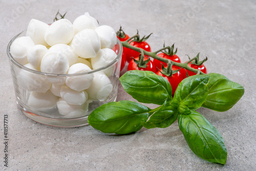 Italian tricolore, small balls of fresh white soft Italian mozzarella cheese, ripe red cherry tomatoes and fresh green basil herb, ready for making caprese salad