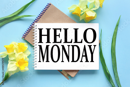 Fototapeta Naklejka Na Ścianę i Meble -  Hello Monday. text on white notepad paper on blue background. near notepad with yellow flowers and green leaves