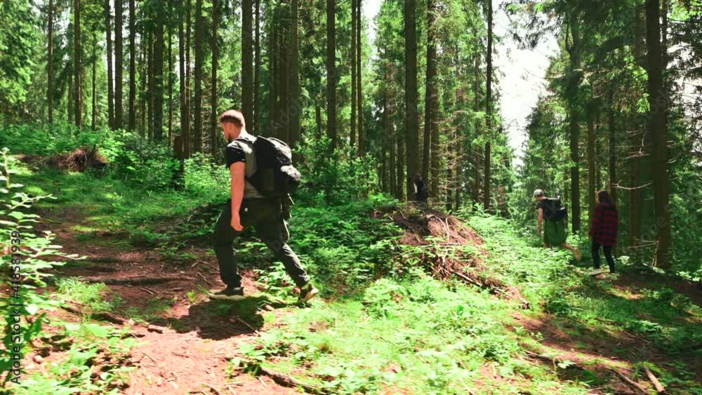 Group of two women and men charring through the woods on a sunny summer day and taking photos on camera. Friends hiking men and women climb mountains through the forest. Group of two women and men charring through the woods on a sunny summer day and taking photos on camera. Friends hiking men and women climb mountains through the forest.