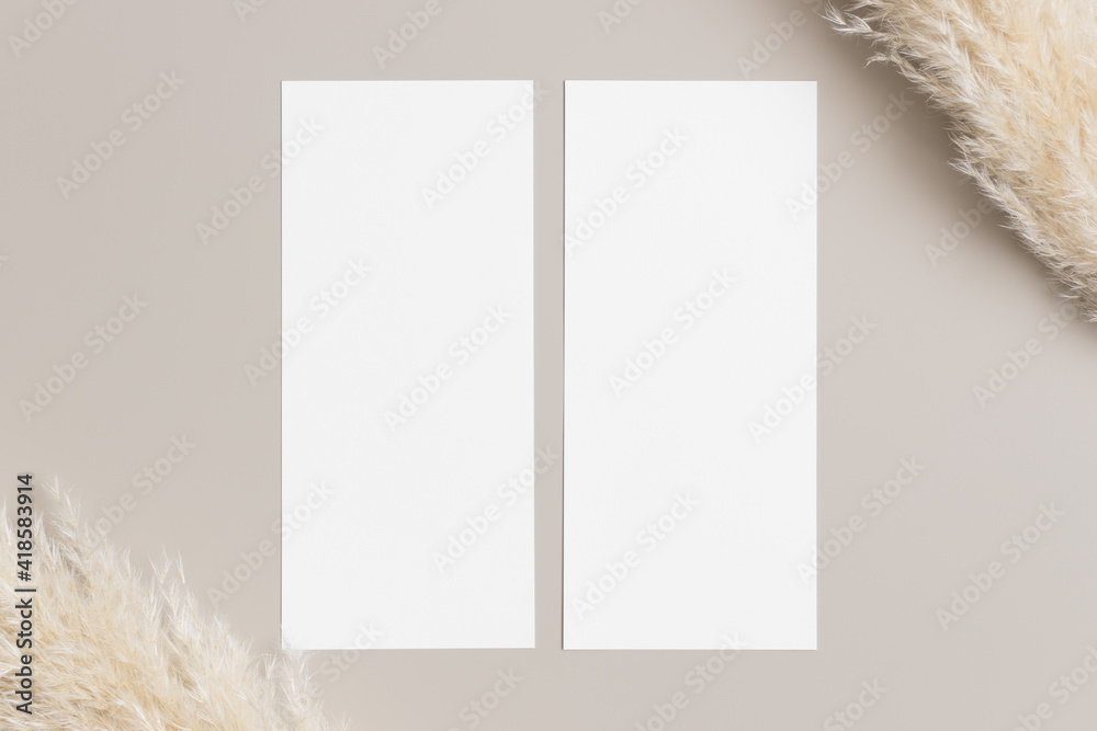 Two menu cards mockup with a pampas grass deocoration, 4x9 ratio. Two menu cards mockup with a pampas grass deocoration, 4x9 ratio.