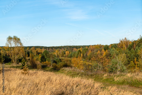 autumn landscape with dried grass