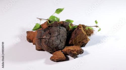 Grinded heap of natural chaga mushroom with chaga pieces and birch twig with green leaves rotating on a white background. A pile of chopped Inonotus Obliquus