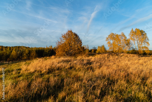 autumn landscape with dried grass