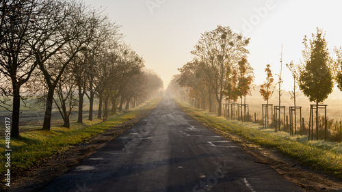 European old country road during morning fog.