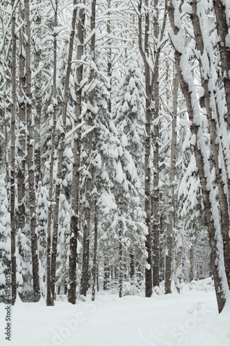 Snow covered deserted alley with trees. Calm, quiet, cozy, winter, magical mood. Gardening of the city environment, a place for rest and walks. Stock photo with empty space for text.