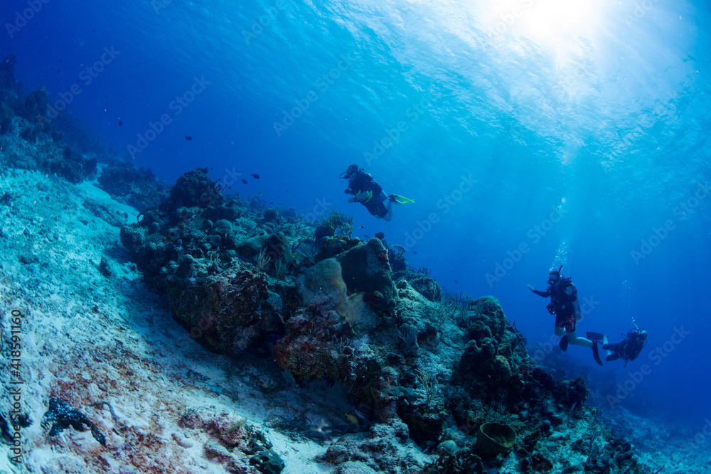 scuba divers and coral reef scuba divers and coral reef