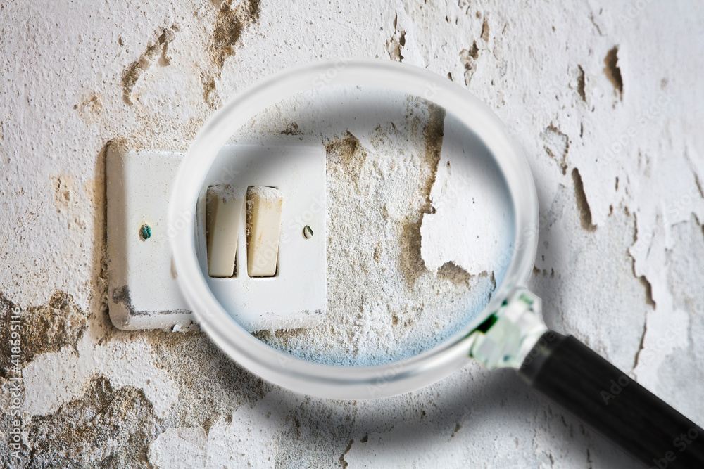 Old unhealthy interior plaster wall damaged by rising damp or from