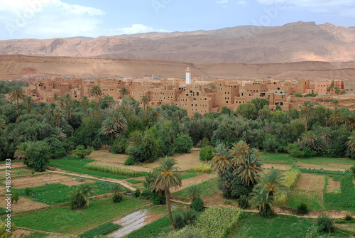 The Tinghir palm grove in the heart of the Todgha valley photo