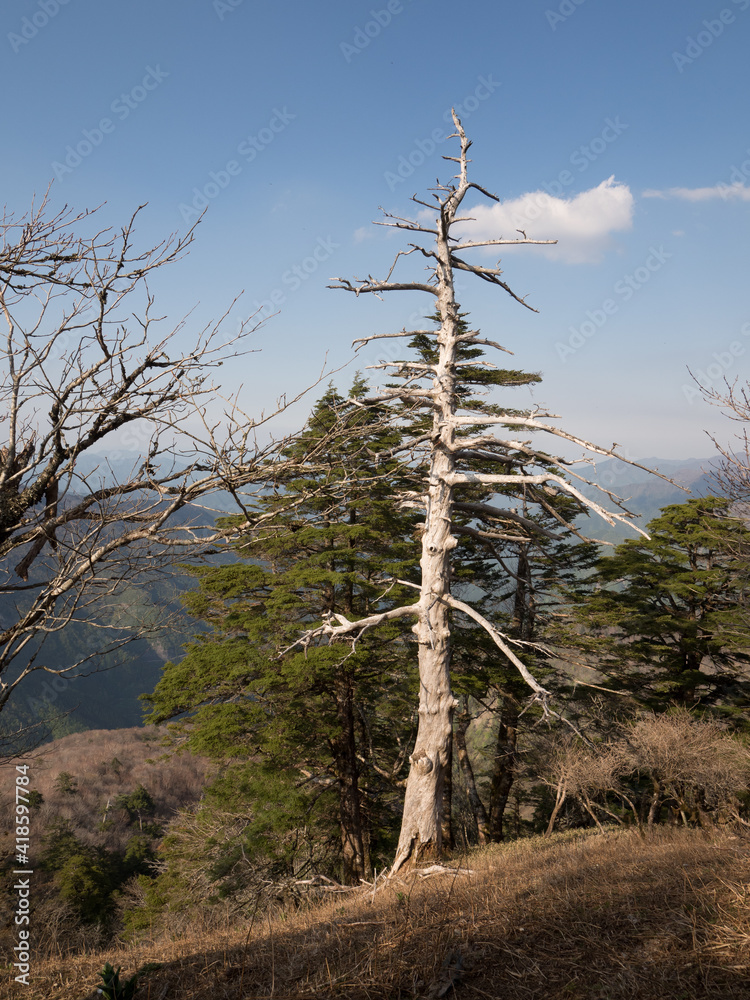 Obraz premium Monte Tsurugi, en el Valle de Iya, isla de Shikoku, Japón