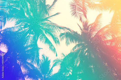 Tropical palm leaf background with an 80s style turquoise to pink gradient © Anna