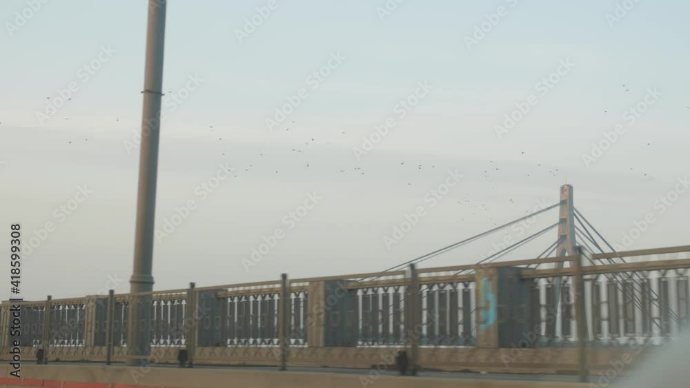 Birds over the bridge view from driving car Birds over the bridge view from driving car