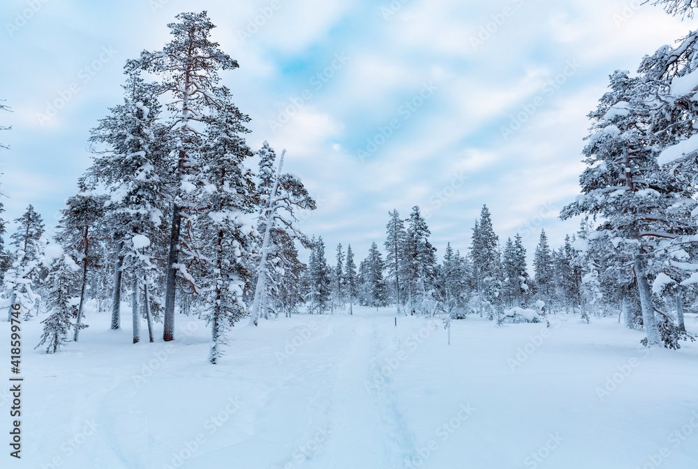Obraz premium Winter landscape in Finnish Lapland