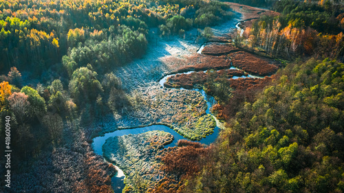 Frozen swamps in autumn  aerial view of nature in Poland