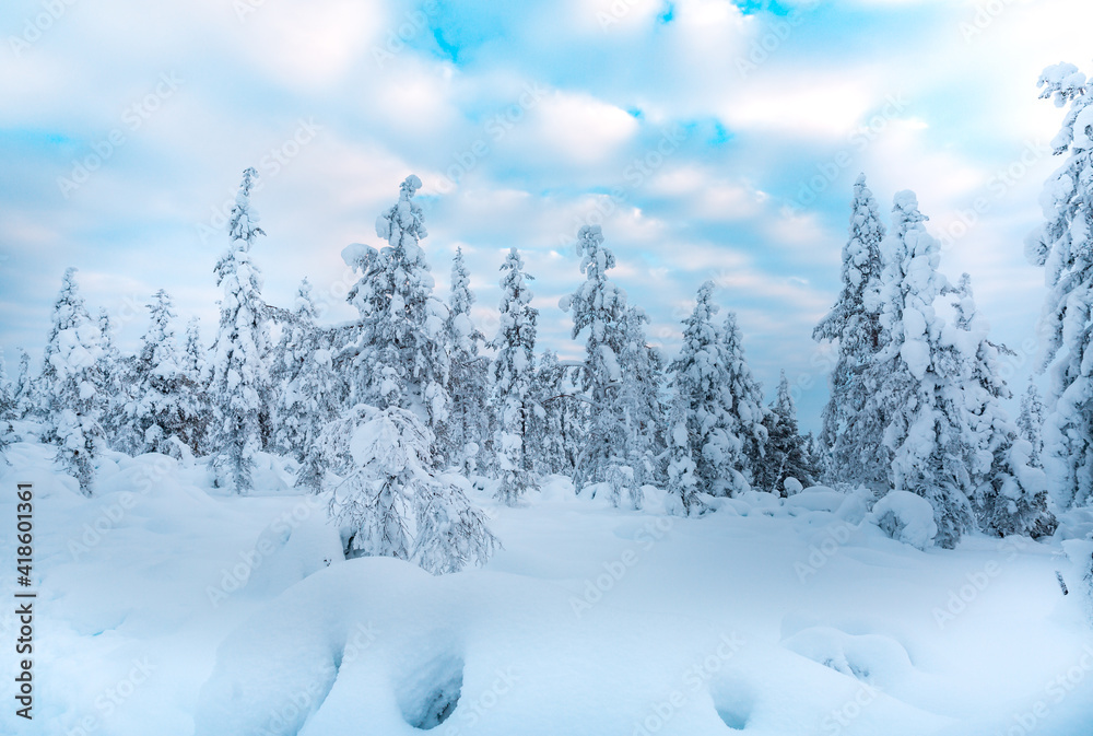Naklejka premium Winter landscape in Finnish Lapland