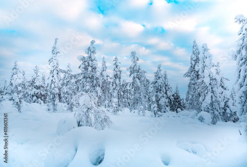 Winter landscape in Finnish Lapland