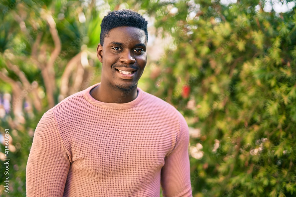 Young african american man smiling happy standing at the park. Young african american man smiling happy standing at the park.