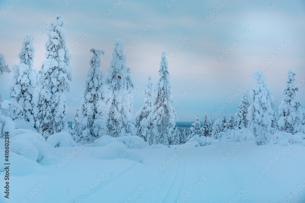 Winter landscape in Finnish Lapland