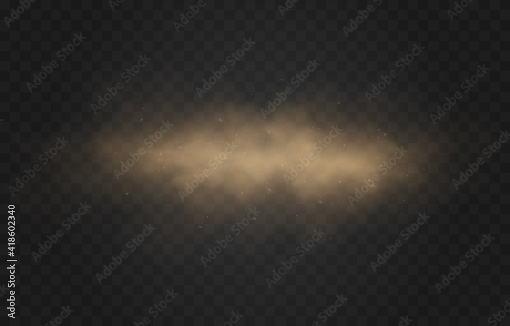 Vector sandy dust cloud. Clouds with dust particles. Sandstorm on an isolated transparent background. PNG.