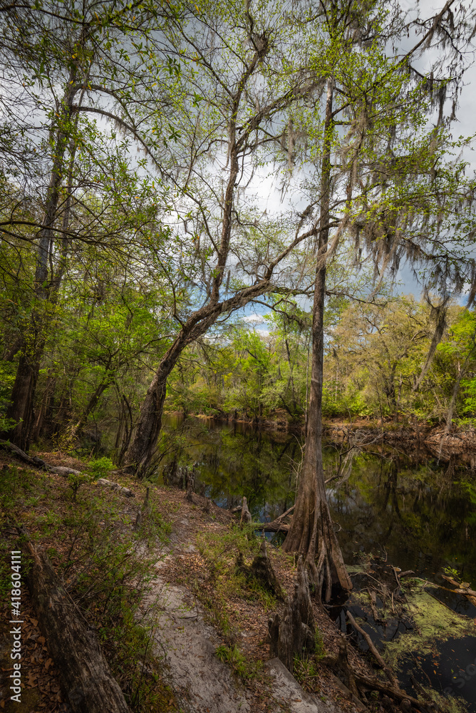 Beautiful Nature Park