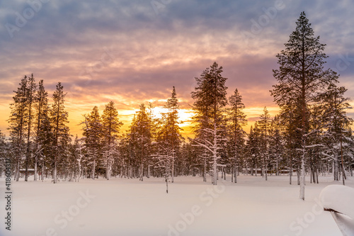 Winter landscape at sunset, frozen trees in winter in Lapland, Finland