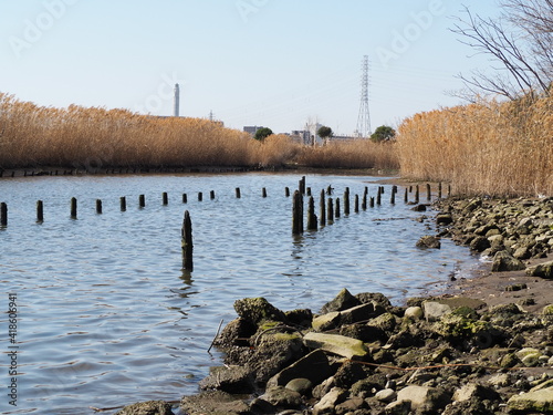 荒川の水辺の杭 photo