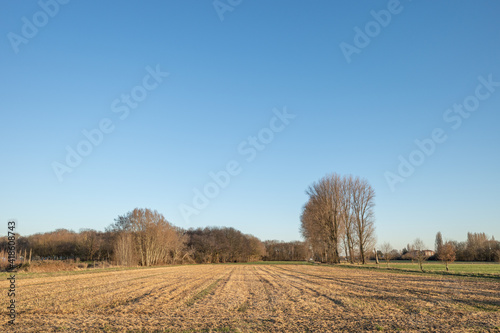 Outdoor sunny view of empty agricultural land after ploughed with background of tree against blue sky.