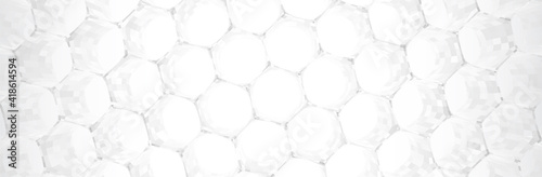 Abstract White Grey Hexagon background. 3d render. Technology vector illustration