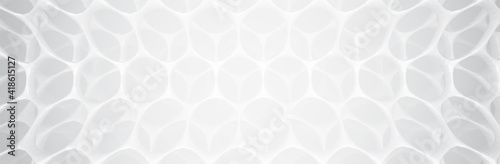 Abstract White Grey Hexagon background. 3d render. Technology vector illustration