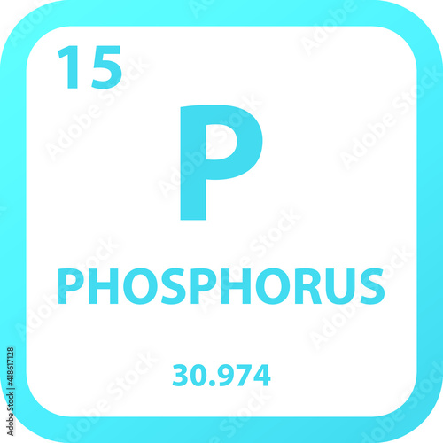 Phosphorus P Non reactive metal Chemical Element vector illustration diagram, with atomic number, mass and electron configuration. Simple outline flat   design for education, lab, science class.