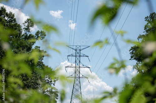 power lines in nature