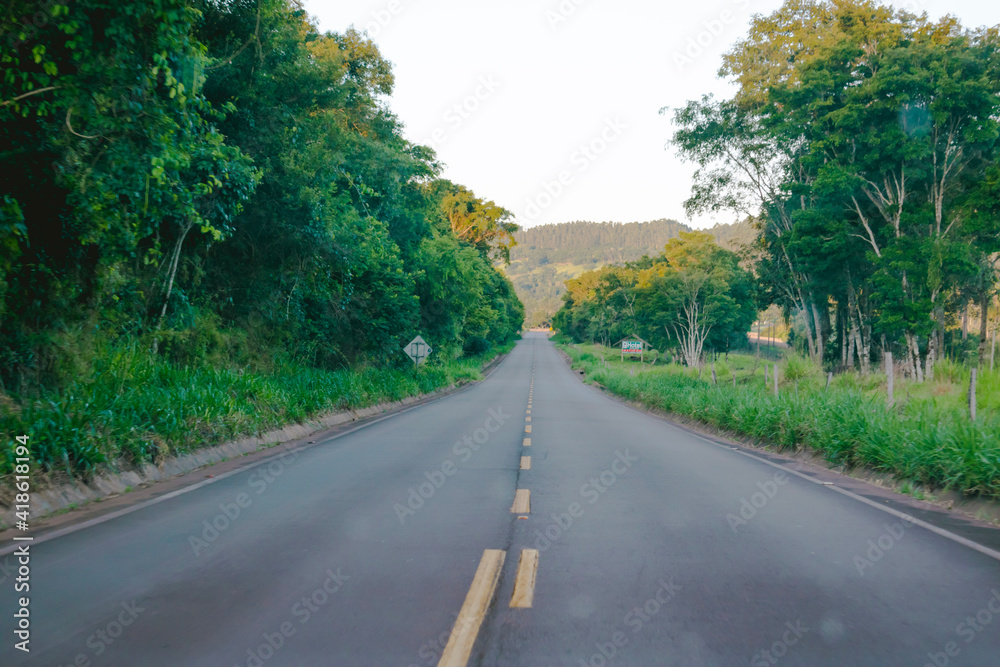 Fototapeta premium road in the forest