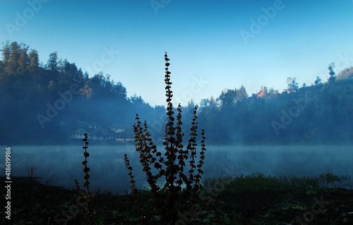 Morning lake view with a calm atmosphere with bluish colors in Ranupani, at the foot of Mount Semeru, Indonesia  photo