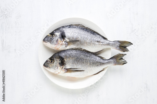 Raw dorado fish on white plate on a light background. Top view, copy space.