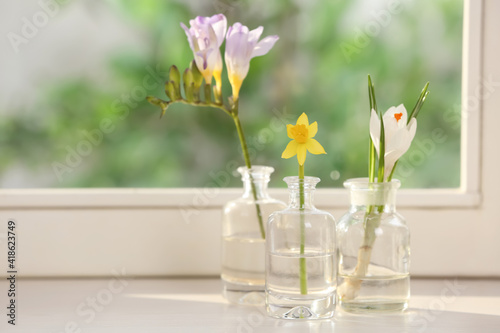 Beautiful spring flowers on window sill indoors