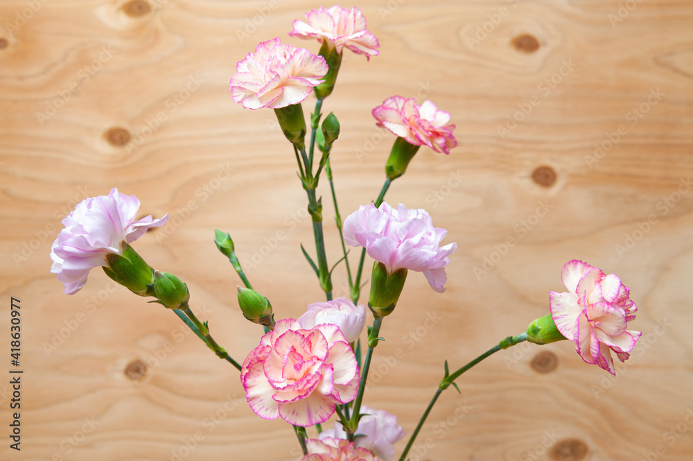 Beautiful Japanese carnation flower arrangement in close-up. Wood background. Copy space.