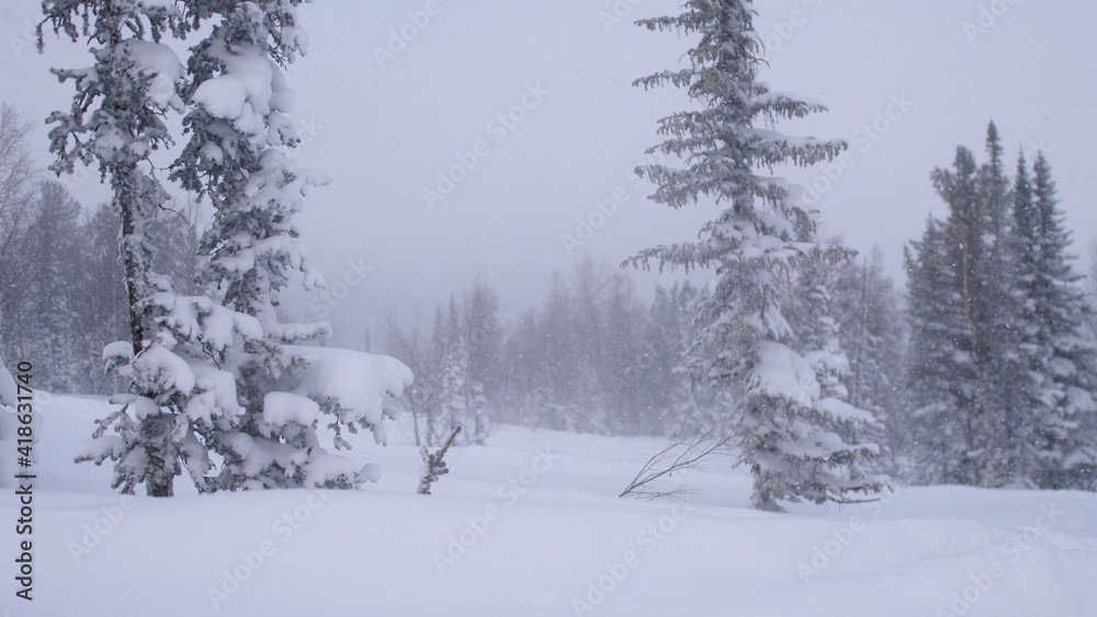 Winter snowfall in the forest, lovely snowy Christmas morning with falling snow. Christmas background. Snow covered trees. Winter landscape. Snow covered trees. Winter snowfall in the forest, lovely snowy Christmas morning with falling snow. Christmas background. Snow covered trees. Winter landscape. Snow covered trees.