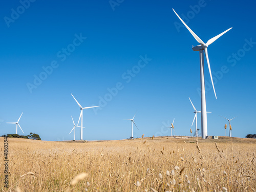 Wind turbines on a country farm