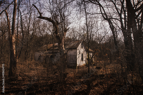 Abandoned House in the Missouri Woods photo