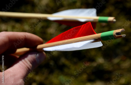 The archer collects stuck arrows at the bow for another series of shots attacks from a yew traditional bow used in the Middle Ages battles at Agincourt. meadow and wooden bow carved one piece photo