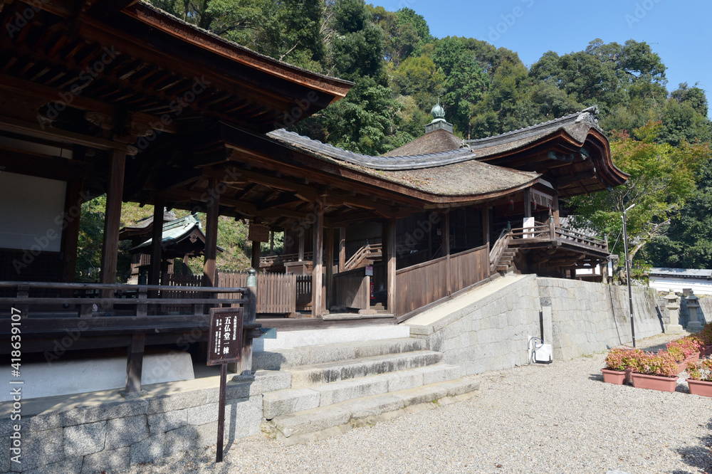 天野山金剛寺 五仏堂と御影堂の渡り廊下 大阪府河内長野市 天野山金剛寺 五仏堂と御影堂の渡り廊下 大阪府河内長野市
