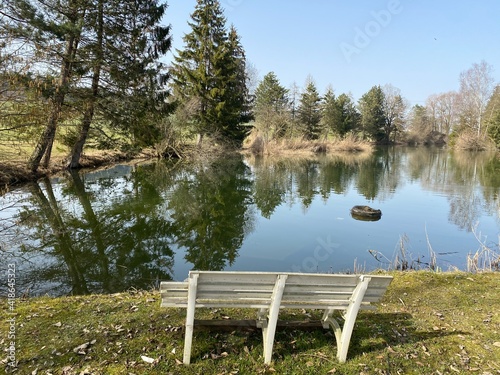 Gizlen pond (Gizlen Weiher) next to the natural protection zone Aargau Reuss river plain (Naturschutzzone Aargauische Auen in der Reussebene), Aristau - Switzerland (Schweiz) photo