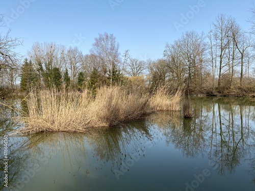 Gizlen pond (Gizlen Weiher) next to the natural protection zone Aargau Reuss river plain (Naturschutzzone Aargauische Auen in der Reussebene), Aristau - Switzerland (Schweiz) photo