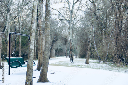 winter scenery nature morning beautiful sky birds ice snow 