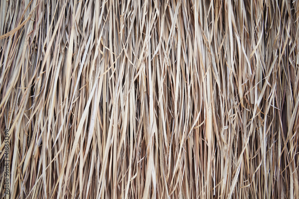 Striated patterns or the texture of dry straw Striated patterns or the texture of dry straw