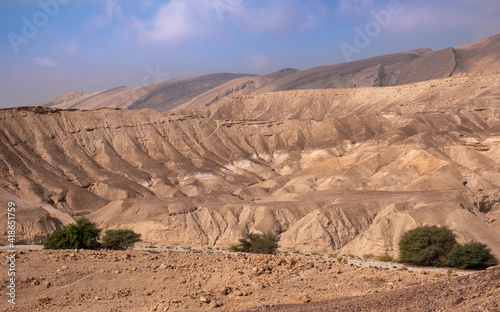 Colorful landscape of a remote mountain desert region. Panoramic view of orange sandy hills and mountain folds with green acacias growing in a dry wadi. The harsh beauty of the desert.