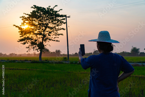 Modern female farmer standing in the middle of green rice field during sunset shine through the tree. A smart female farmer using mobile phone or smartphone application technology for modern farming.
