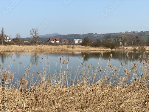 Stille Reuss or Stilli Rüss (Stilli Ruess) in the natural protection zone Aargau Reuss river plain (Naturschutzzone Aargauische Auen in der Reussebene), Rottenschwil - Switzerland (Schweiz) photo