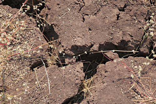 Wallpaper Mural soil Torontodigital.ca