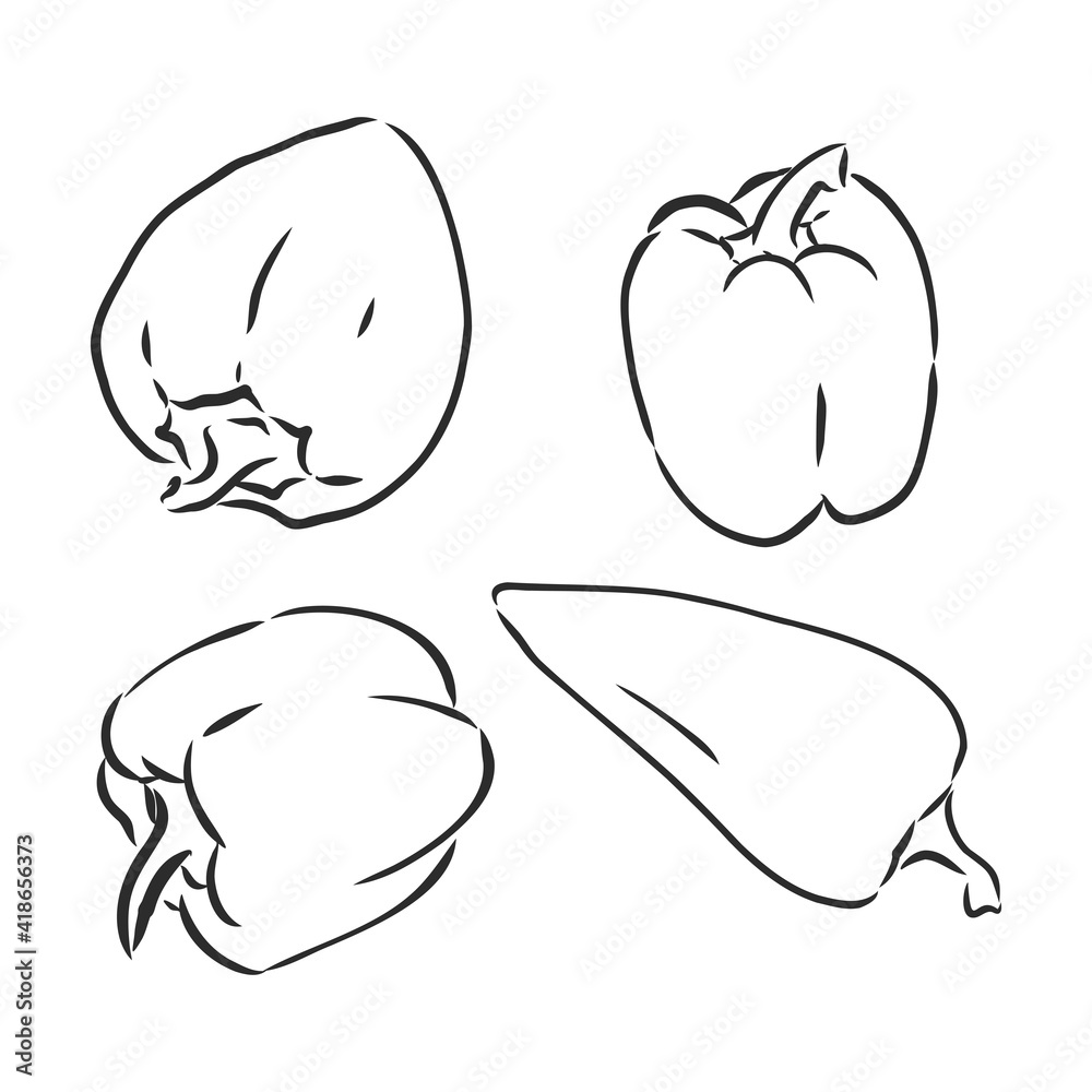 Half a bell pepper. Black and white vector illustration. Isolated on a white background. Half a bell pepper. Black and white vector illustration. Isolated on a white background.